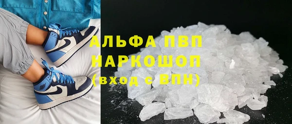 трава Коряжма