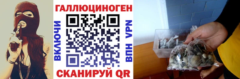 Галлюциногенные грибы GOLDEN TEACHER  купить  сайты  Тавда 